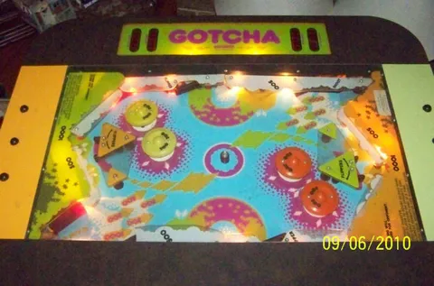 Illuminated Playfield*