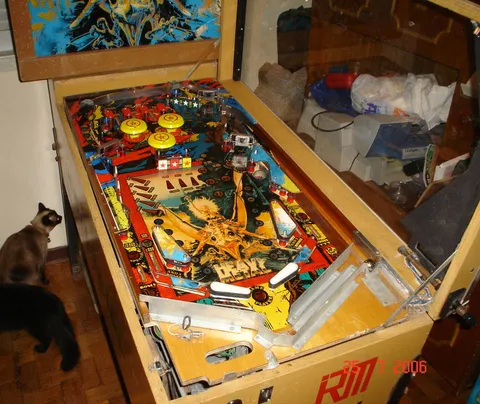Playfield*