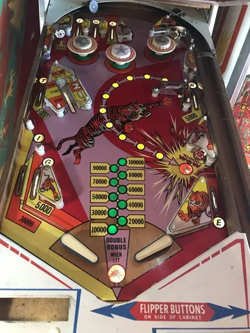 Illuminated Playfield*