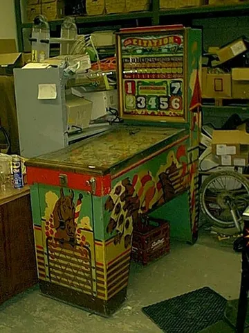 Cabinet - Full View