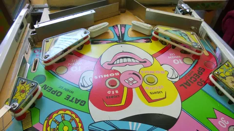 Lower Playfield - Downfield View*