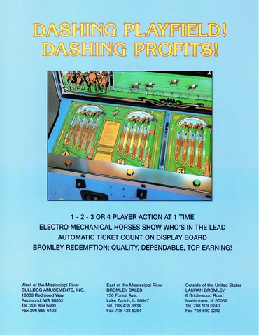 Flyer - Back