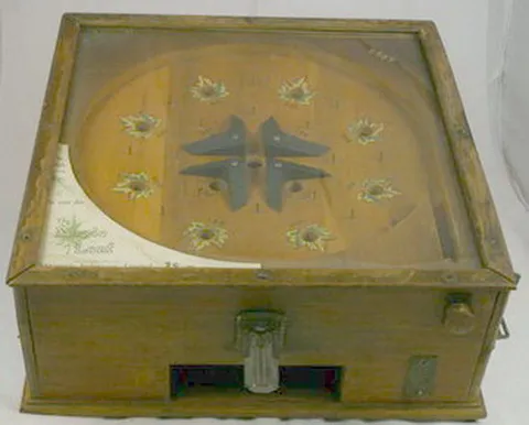 Front View*