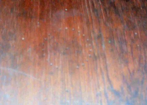Soft Nail Marks On Back Side*