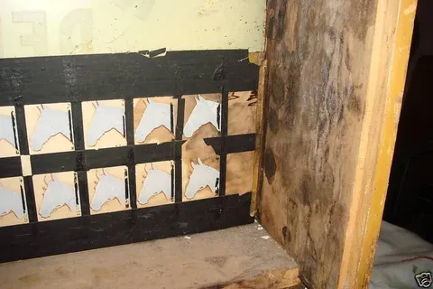 Inside Backbox*