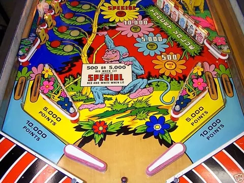 Lower Playfield