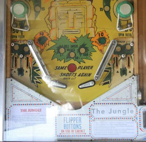 Lower Playfield