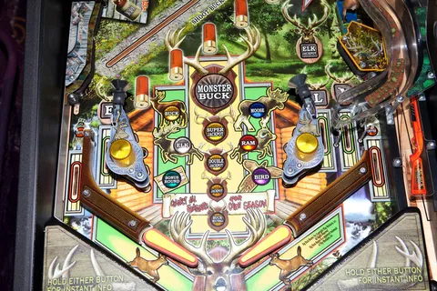 Lower Playfield