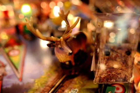 Playfield Detail - Buck (Test Game)