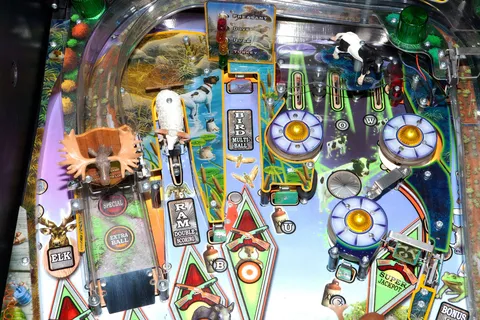 Upper Playfield