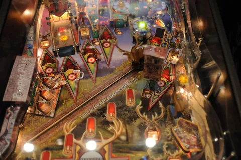 Middle Playfield (Test Game)