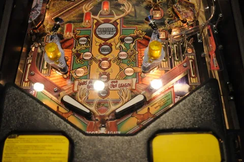 Lower Playfield (Test Game)