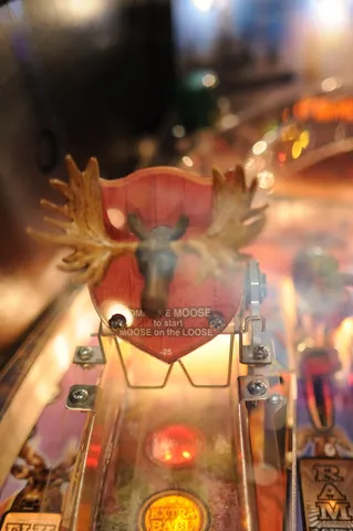 Playfield - Moose Ramp (Test Game)