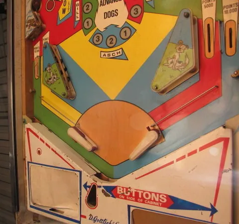 Lower Playfield
