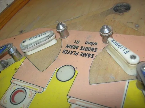 Flipper Area