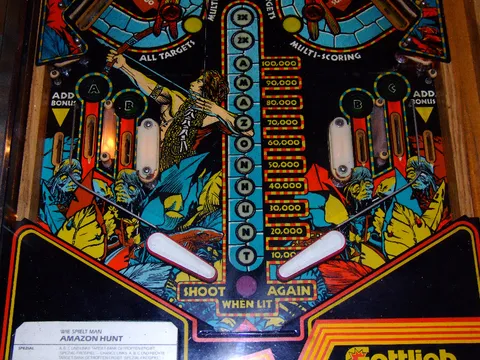 Lower Playfield