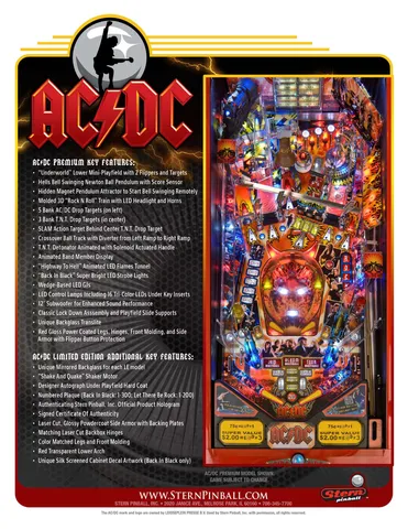 Flyer - Back