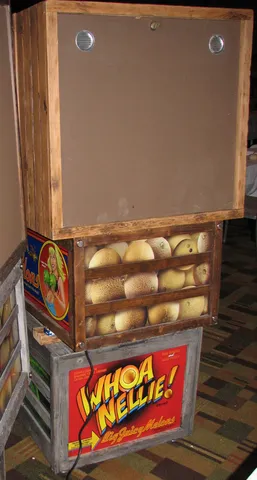 Cabinet - Rear*