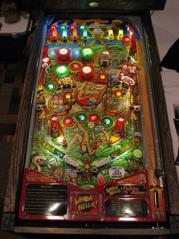 Illuminated Playfield*