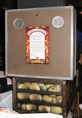 Cabinet - Rear*