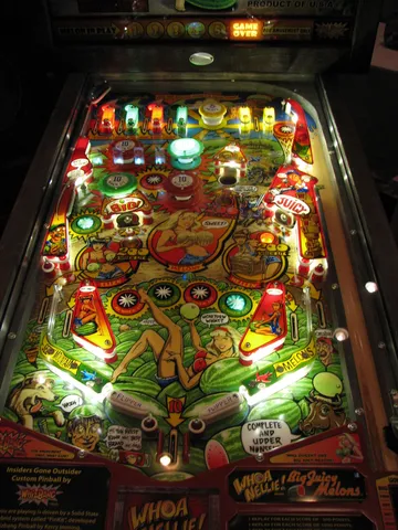Illuminated Playfield*