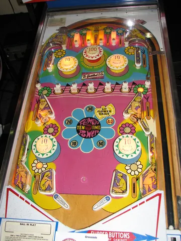 Playfield*