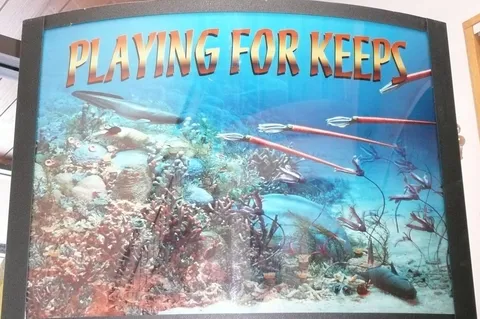 Plexiglas Backglass