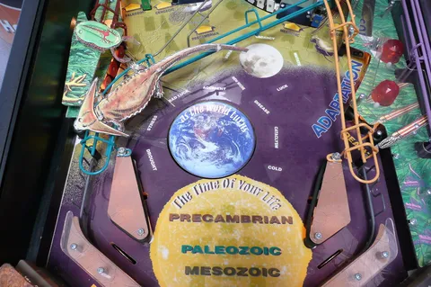 Lower Playfield