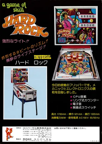 Japanese Flyer