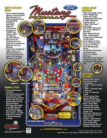 Flyer - Back