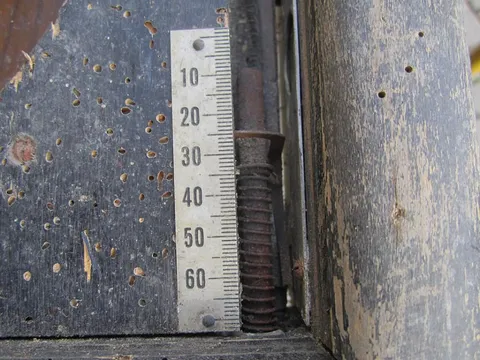Ball Shooter Gauge