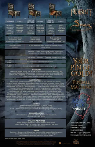 Flyer - Back