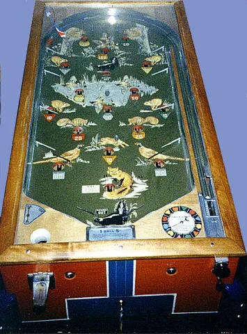 Playfield