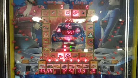 Middle Playfield