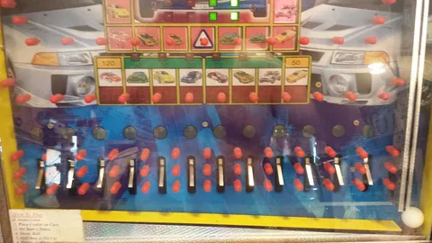 Lower Playfield
