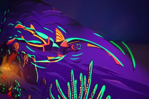 Gallery - Illuminated Detail*