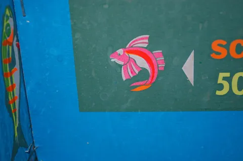 Flying Fish*