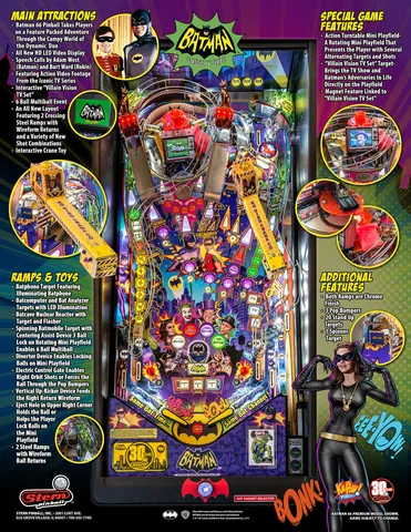 Flyer - Back