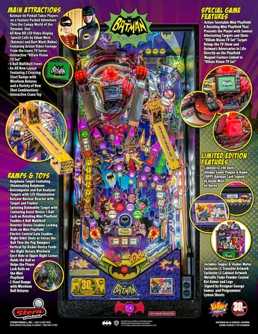 Flyer - Back