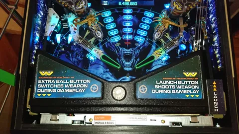 Lower Playfield