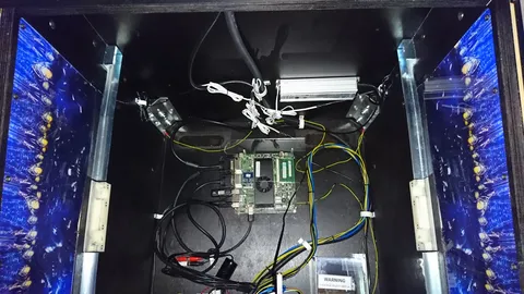 Inside Cabinet - Rear