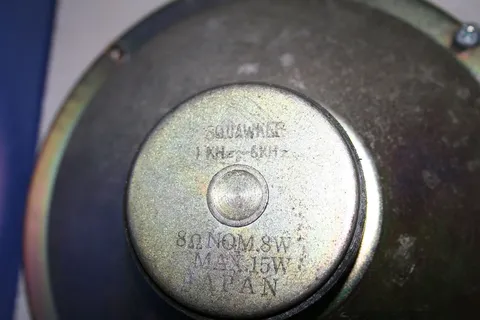 Speaker*