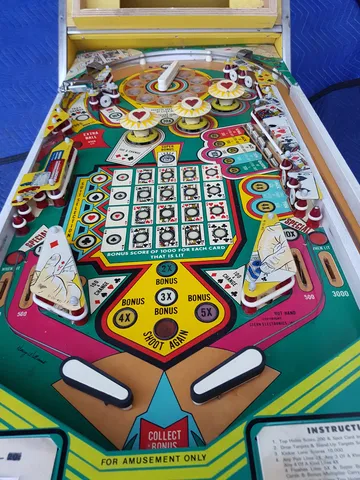 Playfield*