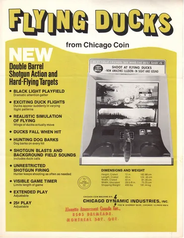Flyer - Back