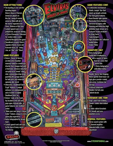 Flyer - Back