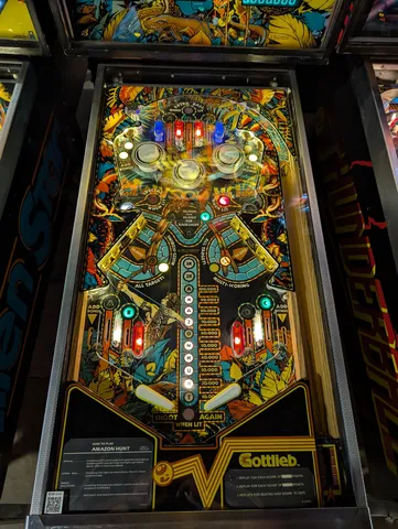 Illuminated Playfield