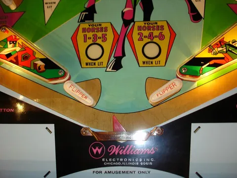 Flippers