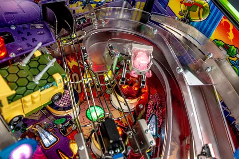 Promotional Photo