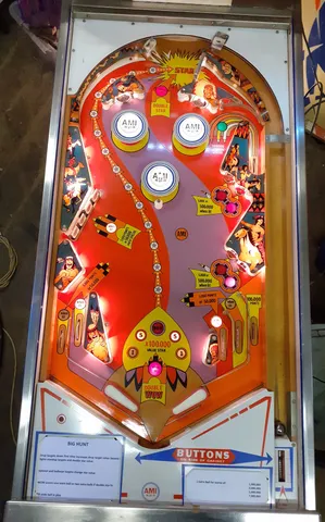 Illuminated Playfield*