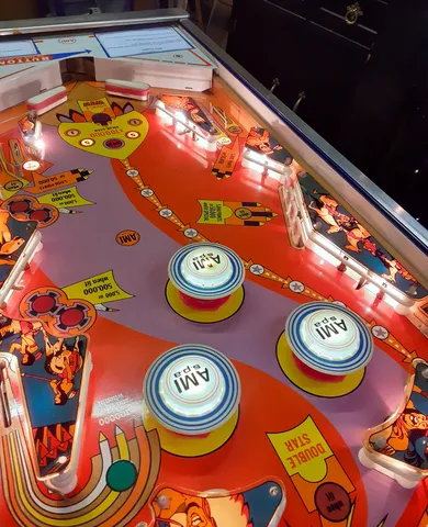 Illuminated Playfield - Downfield View*